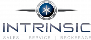 Intrinsic logo